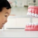 미래치과기공소 이미지