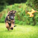 에스메디칼 이미지