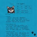 1194 | [#1194] 루미(좌측 대퇴골두절제술)의 수술후기
