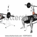 라이브휘트니스(오천점) 이미지