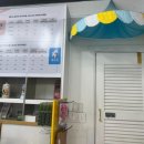 리얼독스 강아지분양 일산본점 이미지