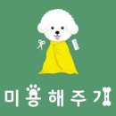 미용해주개 이미지