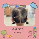 스틸뱅크 | 고무뱅크 안전하고 당기거나 아프지 않은 유아머리끈