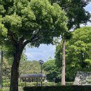 M＆J행정사사무소 | 아이치현 여행 후기 - (구)나고야지방법원, 나고야항 수족관, 양휘소 방문