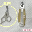 하나동물병원 이미지