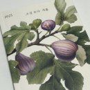 (주)포비 | 행복 돈으로 사겠어 (26년 다이어리, 클라이밍 도전기, 포비 5주년 축하해!!!)
