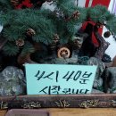 대전해물회집 이미지