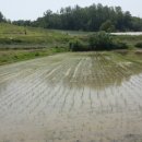 건국제일농장 이미지