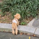 씨유 구리행복한숲점 | 맛있는 음식을 먹는 것은 언제나 행복한 일