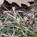 [GAJA]면이면 이장 회의 | 음식물 쓰레기 때문에 고민이 생겼어요