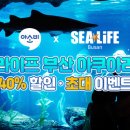 아쿠아리움 이미지