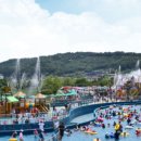 충주탄금호물놀이장 이미지