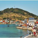 청산도봄 이미지