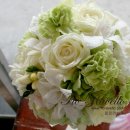 레몬트리 이미지