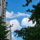 준형이네민박 이미지