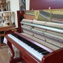 칠산초등학교 이미지