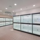 돌담동물의료센터 이미지