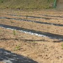 솔골농장 이미지