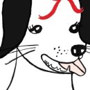 꼬마애견샵 이미지