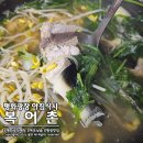 복어촌 | 목포 평화광장 아침식사! 해장하러 갔다가 낮술 먹은 복어촌