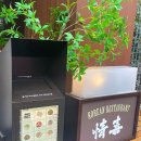 정희애견