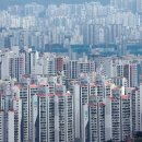 선부동산공인중개사사무소 이미지