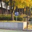 국립해양박물관 화장실(외부) 이미지