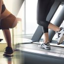 원피트니스 이미지