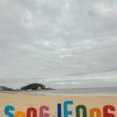 솔스테이 풀빌라&료칸 | 부산 송정 해수욕장 근처 애견동반 숙소 솔스테이 풀빌라 료칸 숙박기