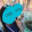 행운성인게임장 | [제주도 가볼만한곳] 찐언니가 추천해주는 제주도 여행 코스 BEST 10 UP