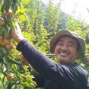 낙원농장4 이미지