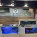 찐이야 소주방 앞 이미지