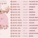 꽃피우다;봄