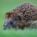 신진리사거리 이미지