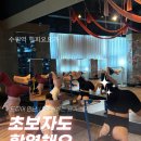요가(야간반) 이미지