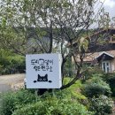 도시고양이생존연구소 이미지