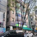 서당초등학교.삼환상가앞 | 분당실내테니스 분당스크린테니스 [ 티플러스테니스] 후기