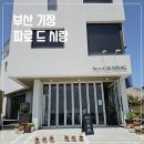 파로드시랑 이미지