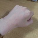 겔랑 키스키스 립글로우 775 포피글로우 송혜교 립밤 내돈내산 후기 (랑콤 립이돌, 샤넬 코코밤 비교)