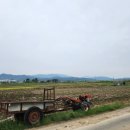 사랑방민박 이미지