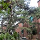 진부령 한증막 이미지