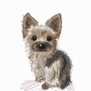 초계우체국 | 10월 난 널 부른 적 없는데