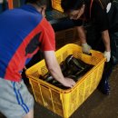 조은수산 이미지