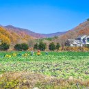 인제13-1 이미지