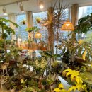 하나팜스 이미지