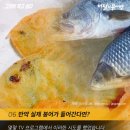 붕어없는붕어빵