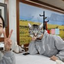 신화여관 이미지
