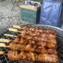 용인 젤코바캠핑장 후기 | 서울 근교 가족 캠핑 추천