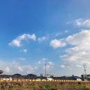 협재블리스 이미지