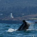 다니엘보청기 이미지